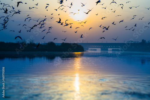 First light at Yamuna Ghat, Delhi