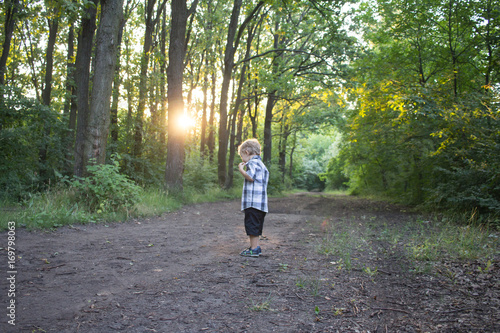little boy walking in forest alone during sunset  © serejkakovalev