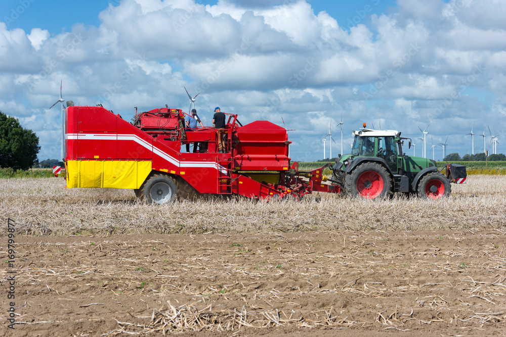 Obraz premium Tractor with potato harvester in the field - 0039