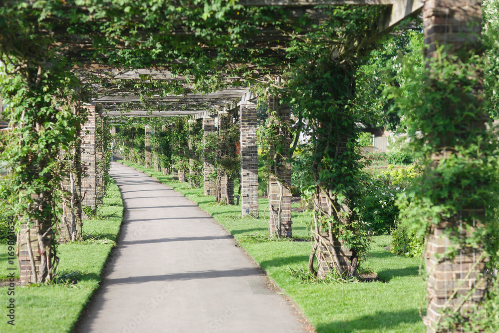 Path in a botanical garden with special pillars and beams for climbing plants