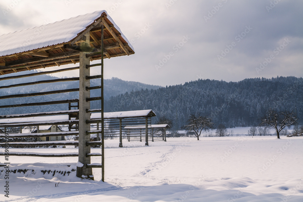 Fototapeta premium Traditional slovenian hayracks in winter.