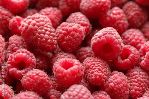 Fresh and sweet raspberries background. Selective focus photo