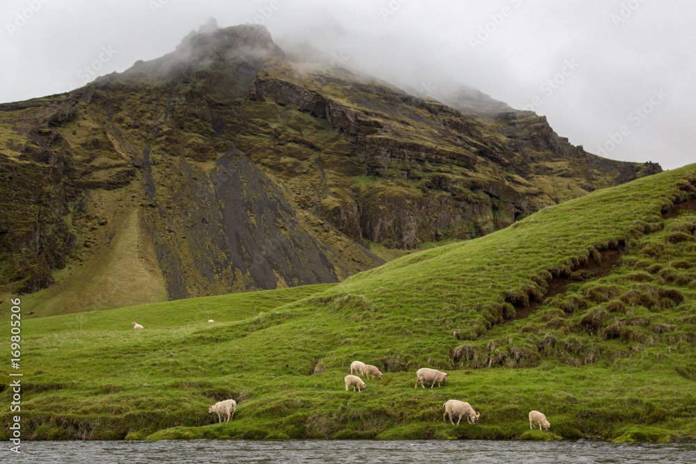 Naklejka premium Landschaft am Skogafoss