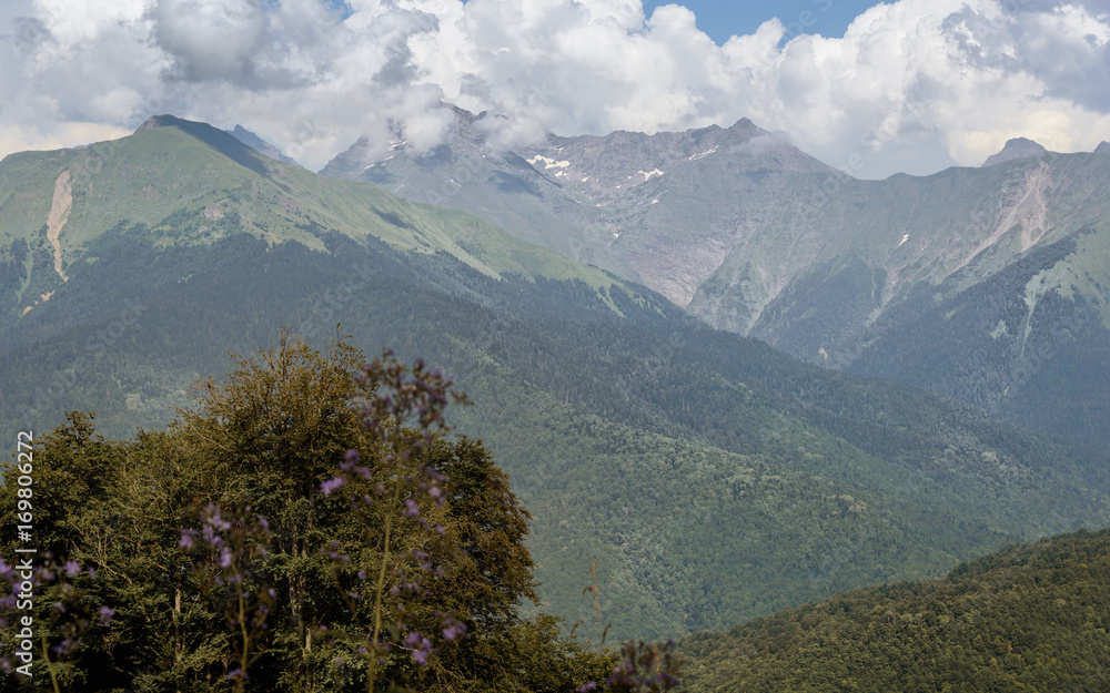 Green trees on a background of mountains and sky with clouds