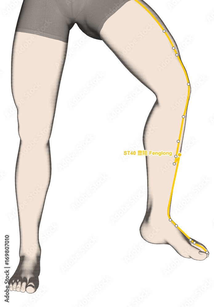 Drawing Acupuncture Point ST40 Fenglong, 3D Illustration Drawing Acupuncture Point ST40 Fenglong, 3D Illustration