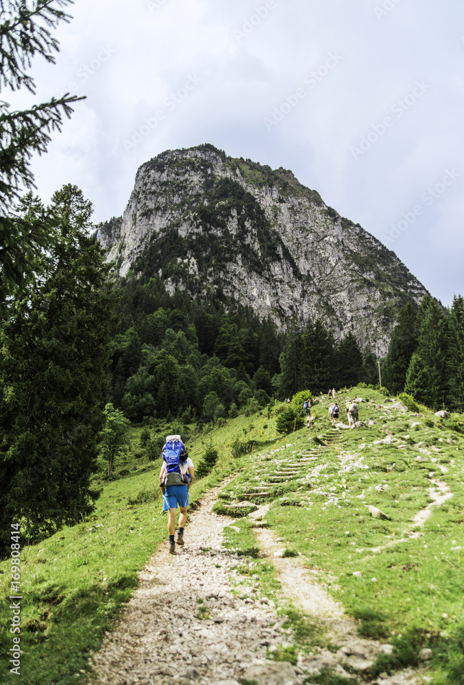 View of mountain trail for hiking, hiker, spring green grass and pine forest, landscape, Swiss Alps.