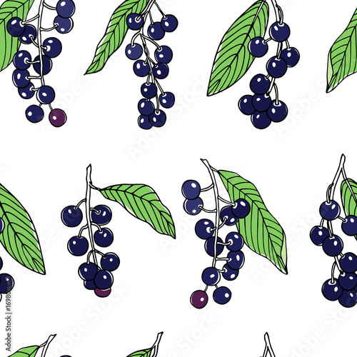 Hand drawn bird cherry pattern