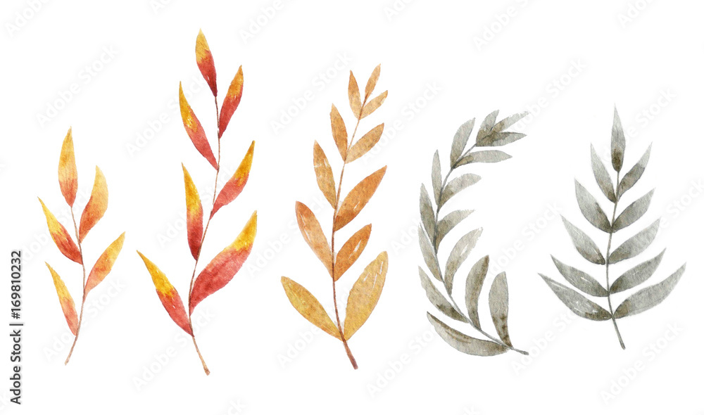 Autumn set of leaves on the white background. Watercolor hand-drawn illustration Autumn set of leaves on the white background. Watercolor hand-drawn illustration