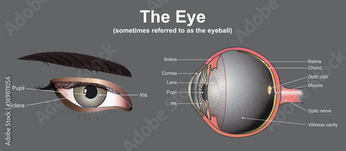 Eye system