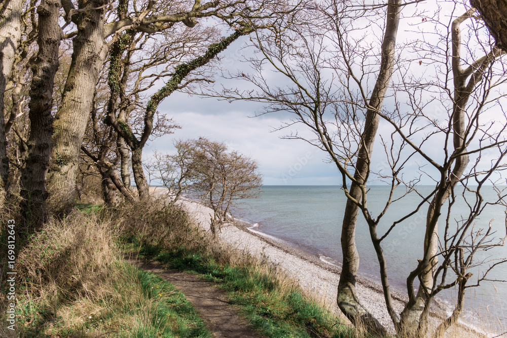 Langeland beach Dovnsklint south of Gulstav Mose with trees. The cliffs are a polular spot for birdwatching Langeland beach Dovnsklint south of Gulstav Mose with trees. The cliffs are a polular spot for birdwatching