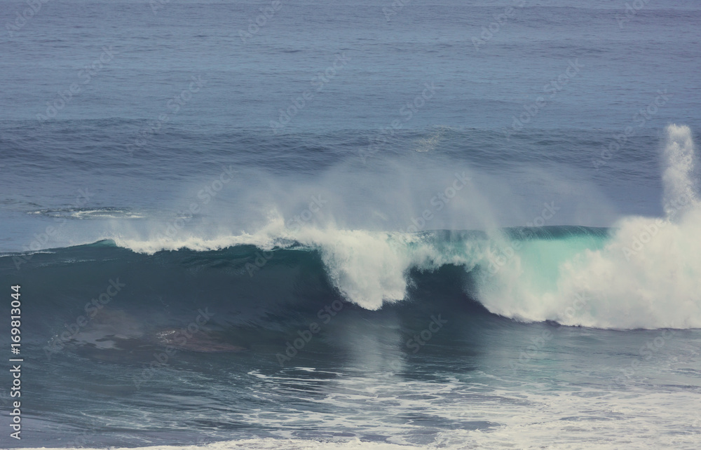 Fototapeta premium Wave