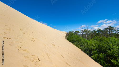 Dune de Pilat, France, in summer