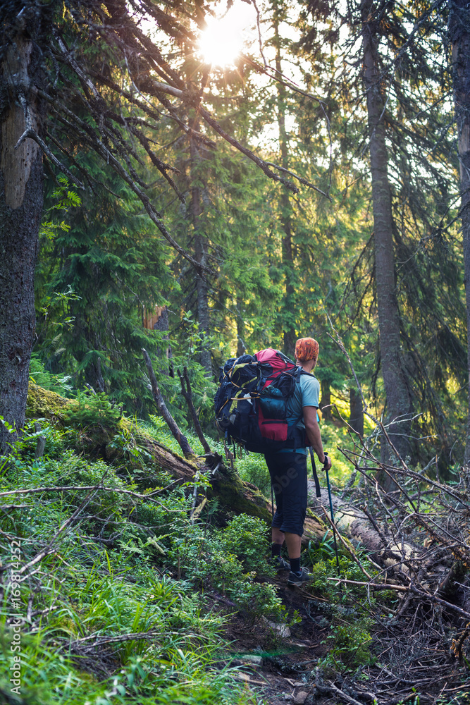 Naklejka premium Traveler among dense green forest