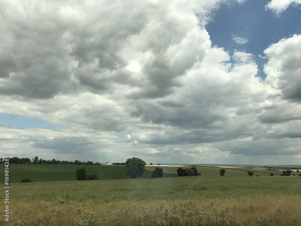 Naklejka premium Feld