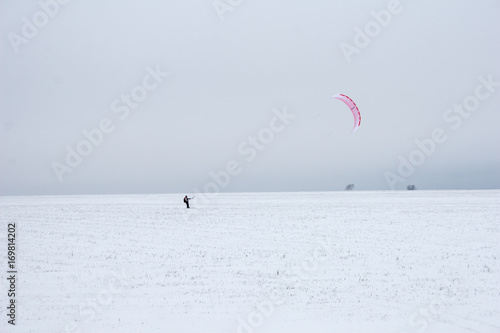 winter kite