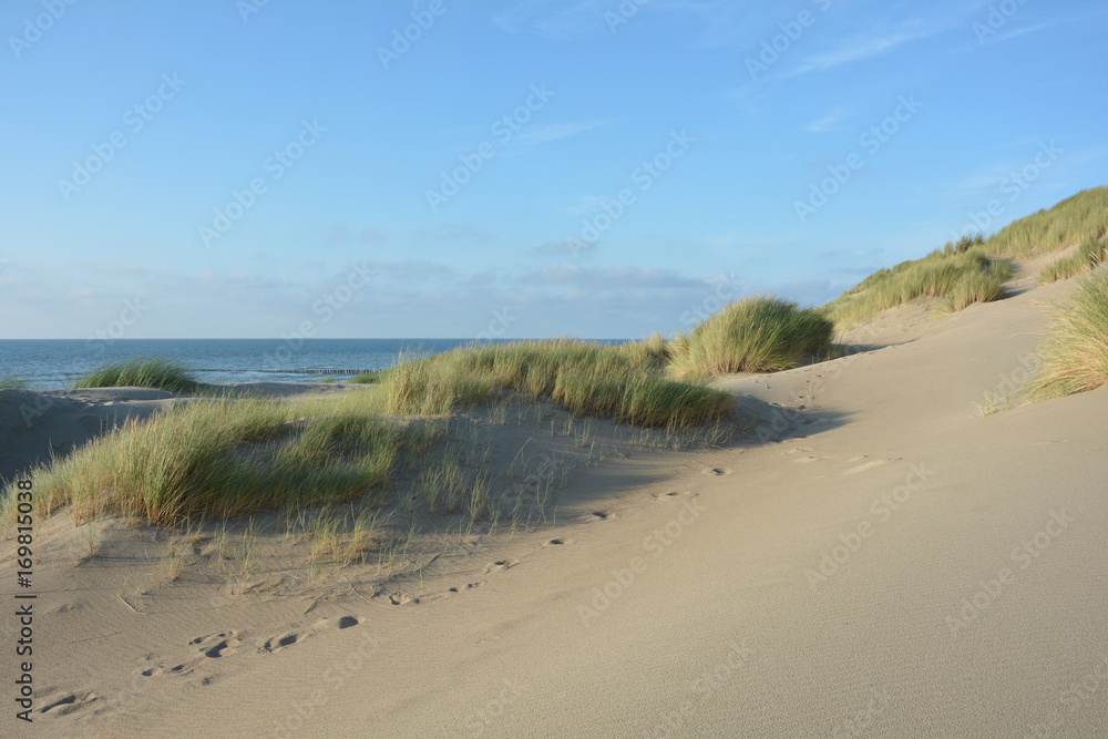 In der Mitte von Sanddünen an der Nordsee   mit  viel Sand im Vordergrund und dem Meer im Hintergrund