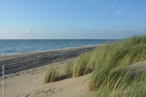 Fototapeta Naklejka Na Ścianę i Meble -  Sand Dünen mit  Strandhafer an der Nordseeküste mit Meer im Hintergrund