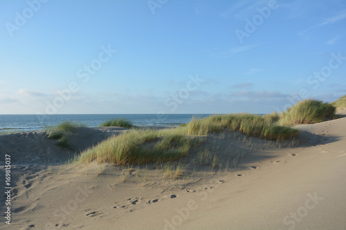 In der Mitte von Sanddünen an der Nordsee mit dem Meer im Hintergrund