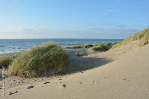 Mitten in den Sanddünen an der Nordsee mit dem Meer im Hintergrund