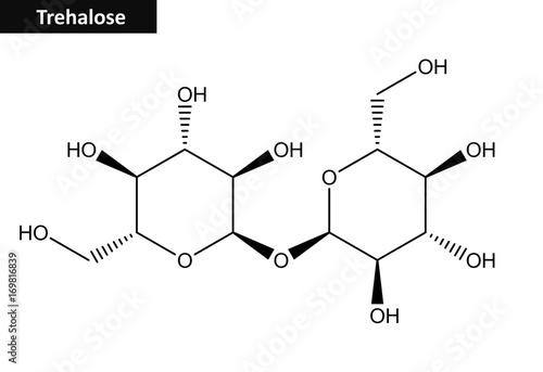 Molecular structure of Trehalose photo