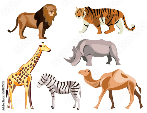 Set of africa animals on white background.