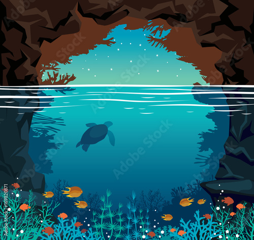 Underwater coral reef, fish, sea, night sky, cave and turtle.