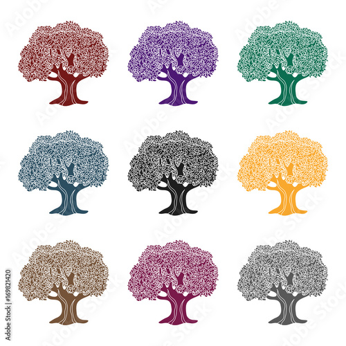 Olive Tree.Olives single icon in black style vector symbol stock illustration web. photo