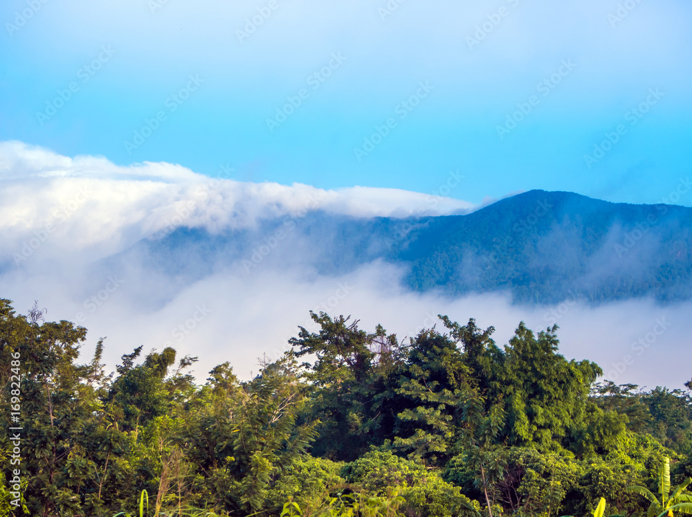 Fototapeta premium Clouds drifting over forests and mountains