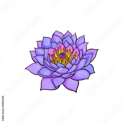 vector sketch cartoon lotus flower blossom blooming. Isolated illustration on a white background. Symbol of buddhism, meditation wisdom. India and Sri-lanka sign