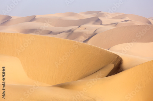 Namib desert  golden sea of sand dunes  Namibia  Africa. Swakopmund