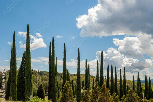 Paesaggio panoramico della Toscana фототапет