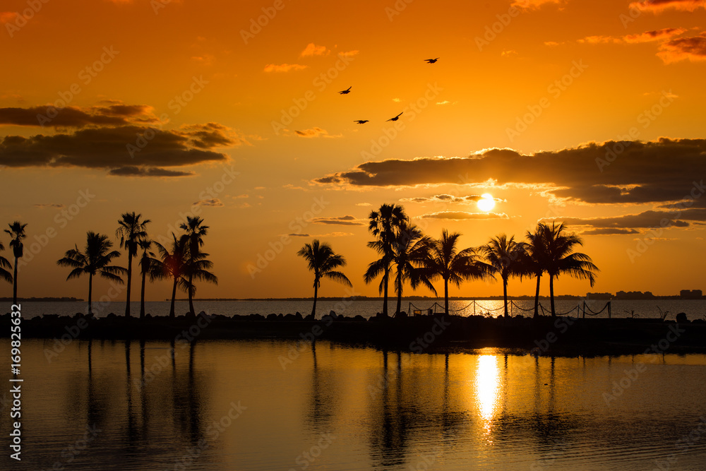 Floridan Sunrise