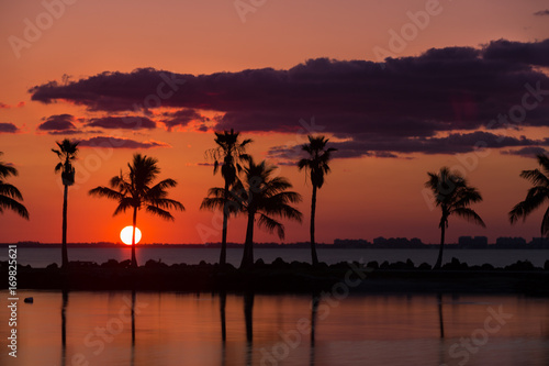 Palm Sunrise © Jens