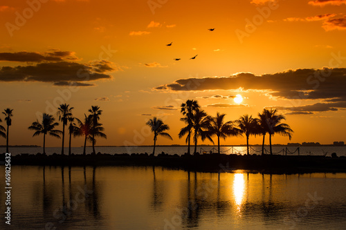 Floridan Sunrise