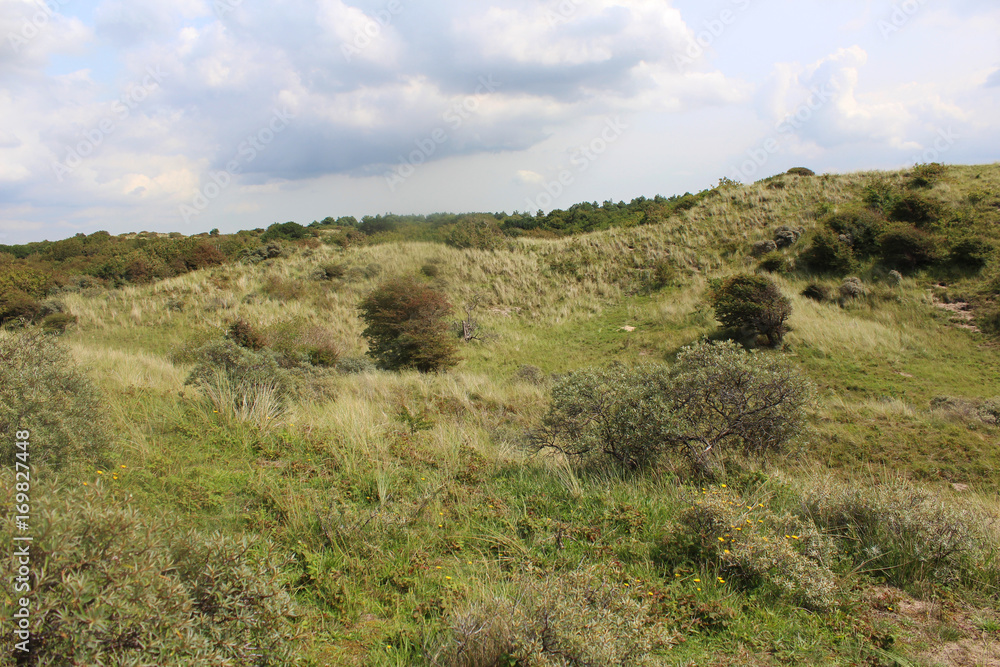 dunes landscape, Noordhollands Duinreservaat dunes landscape, Noordhollands Duinreservaat