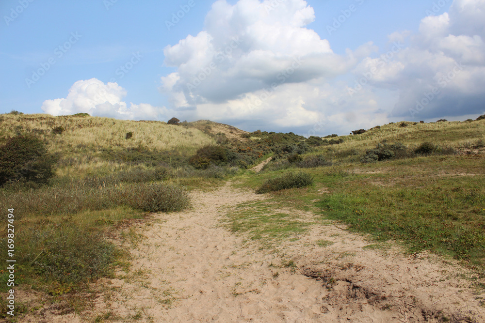 dunes landscape, Noordhollands Duinreservaat dunes landscape, Noordhollands Duinreservaat