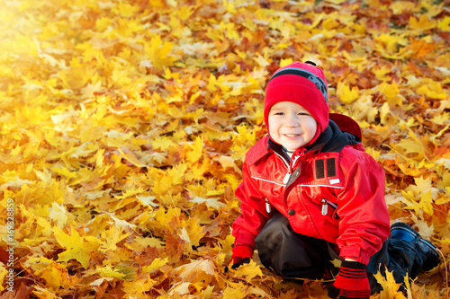 cute child sitting on the lawn covered with yellow leaves