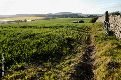 farm in Scotland at dusk