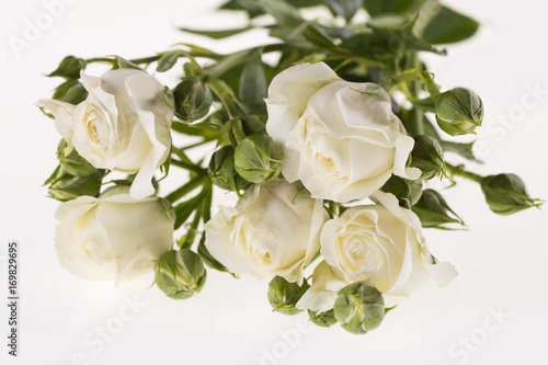 White roses on a white background © nadyanadal