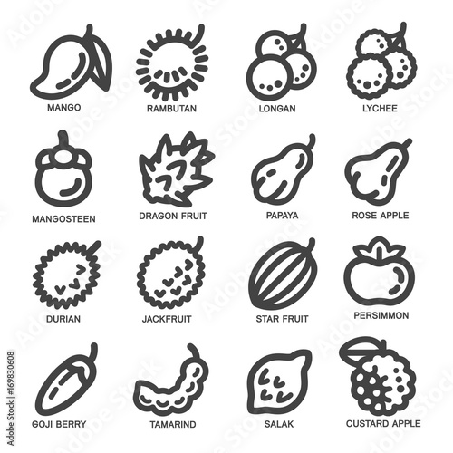 fruit thin line icon set vector illustration