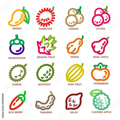 fruit thin line icon set,vector illustration