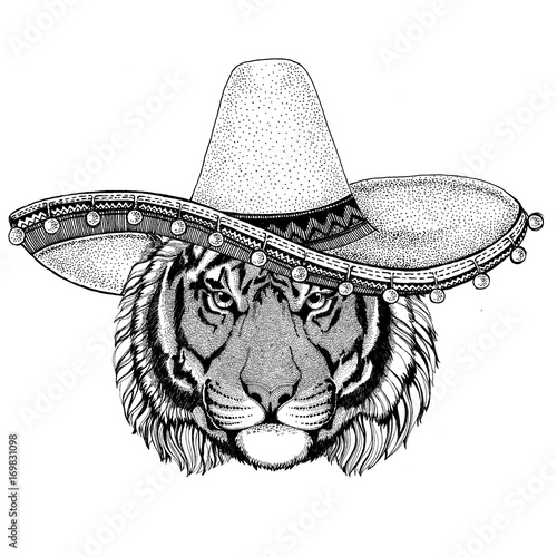 wearing sombero Vector illustration Old classic vintage style illustration for t-shirt, poster, banner, embem, badge, tattoo, zoo