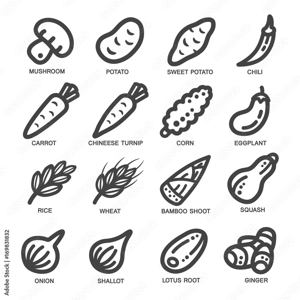 vegetable thin line icon set,vector illustration vegetable thin line icon set,vector illustration