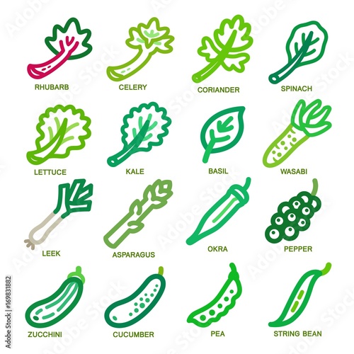 vegetable thin line icon set,vector illustration