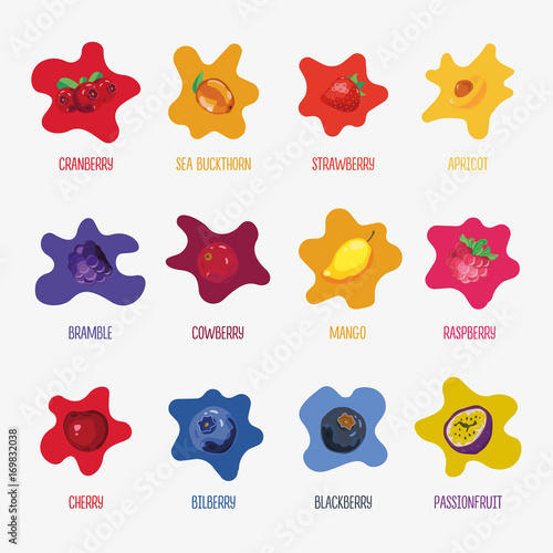 Fruits And Berries Colorful Vector Drawing Illustration Set. Cranberry, Strawberry, Apricot, Bramble, Cowberry, Mango, Raspberry, Cherry, Bilberry, Blackberry, Passionfruit
