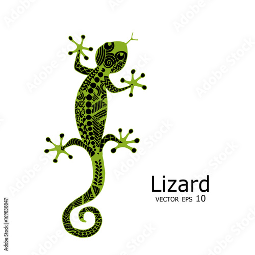 Green lizard sketch  zenart for your design