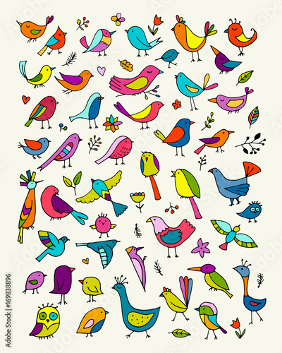 Birds collection, sketch for your design