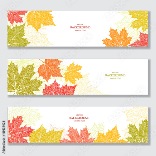 Fototapeta Set of nature banners with autumn leaves 