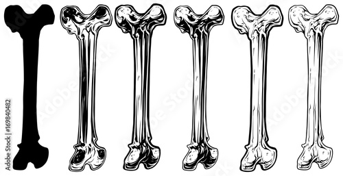 Graphic black and white human bone vector set
