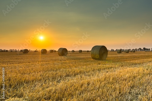 Summer landscape with stubble field